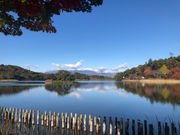 大堀相馬焼 いかりや窯の写真4