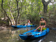 奄美マリンジェットクラブの写真3