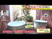 悠然の宿 東海の写真2