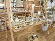 Laboratorio 43potteryの写真3