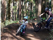 トレイルアドベンチャー・よこはまの写真2