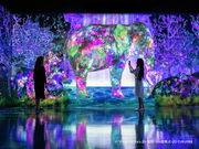 BOSS E・ZO FUKUOKAの写真2