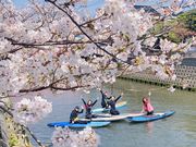 ヘイズサップクラブの写真3