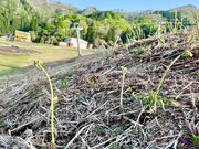 奥神鍋観光の写真2