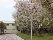 成田窯の写真2