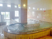 天然温泉 ホットカモの写真3