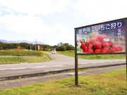 あいまりファームいちご園の写真3