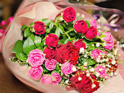 気軽に乗れる京都ヘリコプター遊覧・クルージング<ISA TRAVEL>の写真4