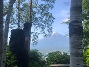 TRAIL HIKES (トレイル ハイクス)の写真2