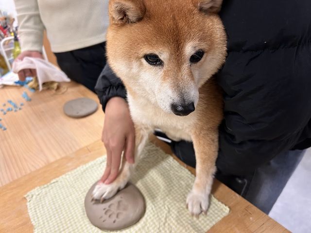 【わんこ陶芸】愛犬の手足型を残そう!_工房ロック