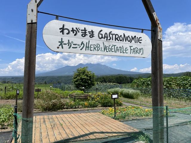 ぐーももファーム