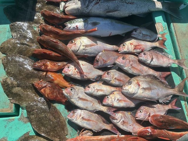 海賊遊漁船 はっしぃ丸