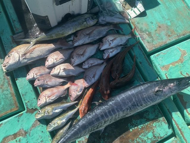 海賊遊漁船 はっしぃ丸