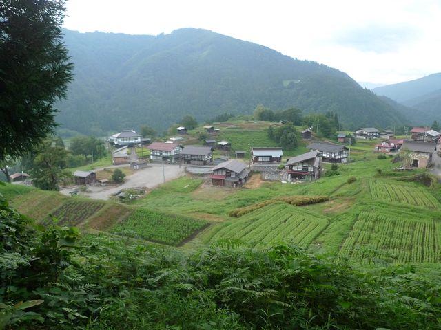 種蔵_特定非営利活動法人 飛騨市・白川郷自然案内人協会