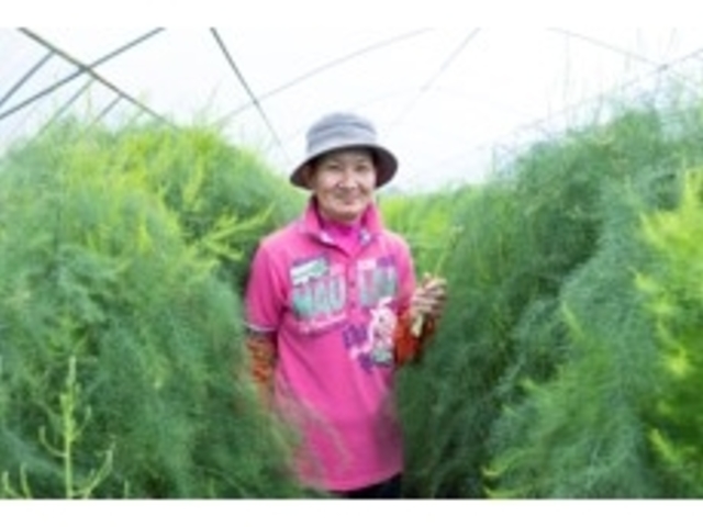 プログラムgC
太陽の光エネルギーをたっぷり浴びておいしく育った旬の野菜を収穫しよう!_エネIKU2023in玄海唐津~マチまるごと大自然エネルギーパーク