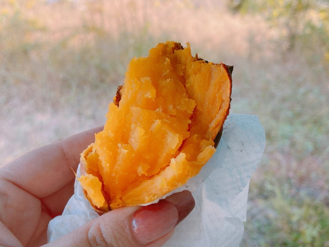 芋掘り体験と芋煮会の時に一緒に焼いた安納芋の焼き芋です。_ぼちぼちファーム