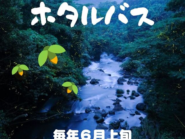 今年も開催します!_嬉野温泉観光協会