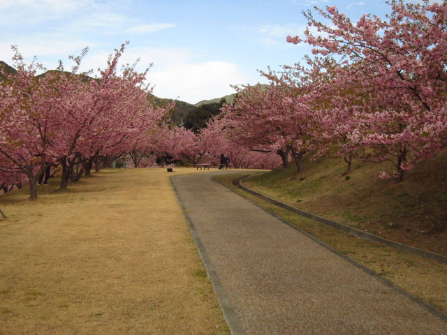 陶芸の村公園