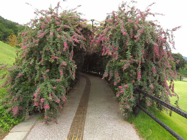 陶芸の村公園