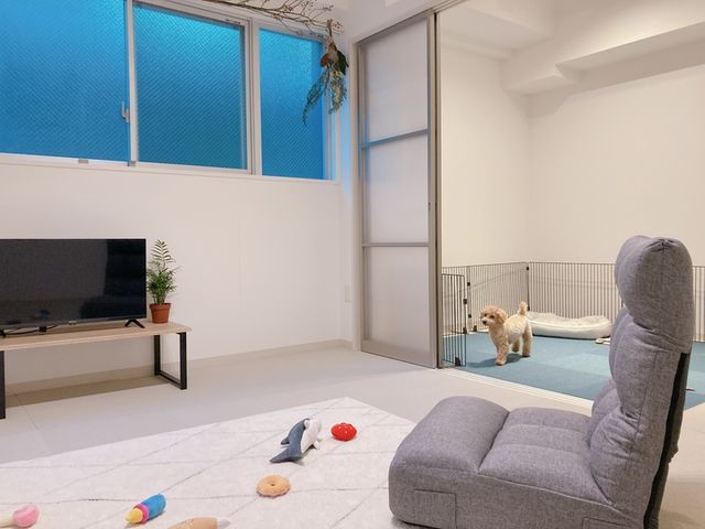 完全個室_犬カフェ ワンコと1人暮らし