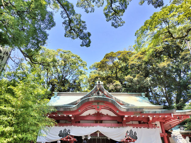来宮神社に立ち寄りします。大楠のエネルギーを頂きます。_熱海リトリートサロン 癒しの手Waves
