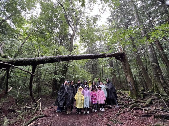 雨ならではの生き生きとした森!_“青木ヶ原樹海”アドベンチャー