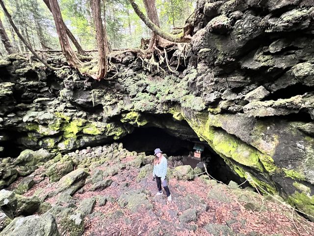 溶岩と苔のコラボレーション!_“青木ヶ原樹海”アドベンチャー