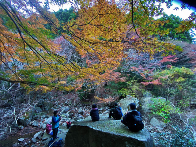 滝&紅葉の巻_淡路島ネイチャーガイド&リトリート