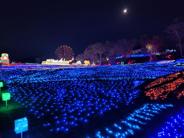 メイト