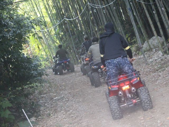 Buggy Mountain No.9