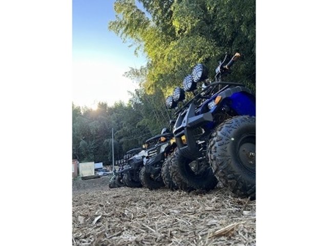 Buggy Mountain No.9