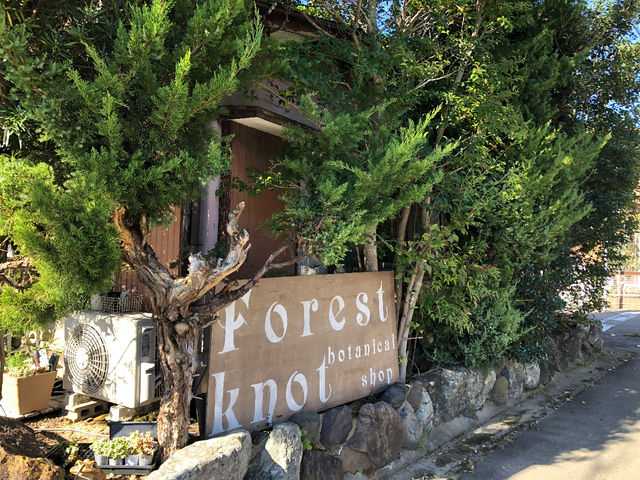 看板をお見過ごしなく!_forest knot 江南店