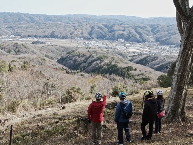 大撫山の展望台から街中を望む_あひるの森