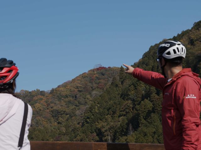 利神城跡石垣望む_あひるの森
