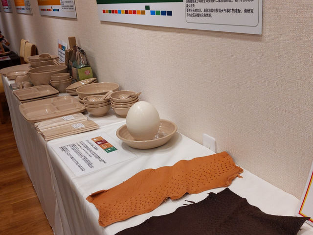 ダチョウの卵、本物さ_SDGsまなび館