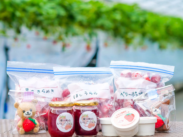 Aikawa Strawberry House