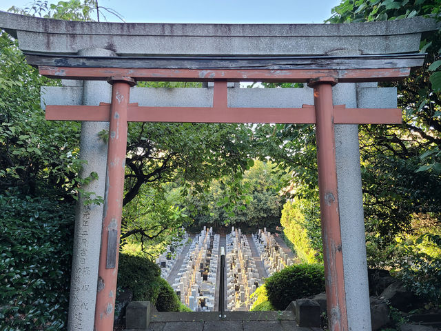 八幡山観音寺