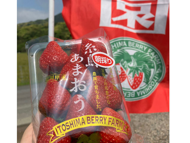 糸島イチゴ園