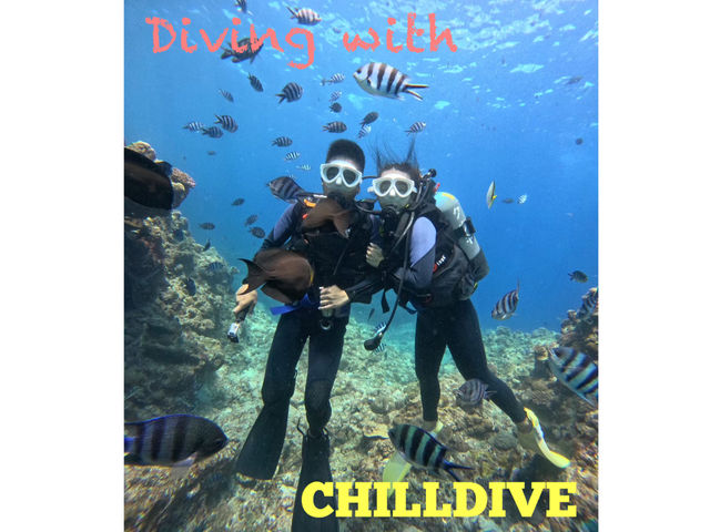 CHILLDIVE_CHILL DIVE