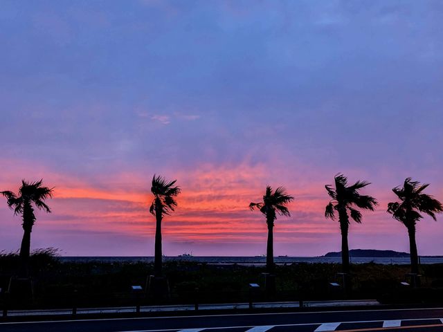 北条海岸は夕焼け鑑賞の人気スポット。_鏡浦自動車株式会社
