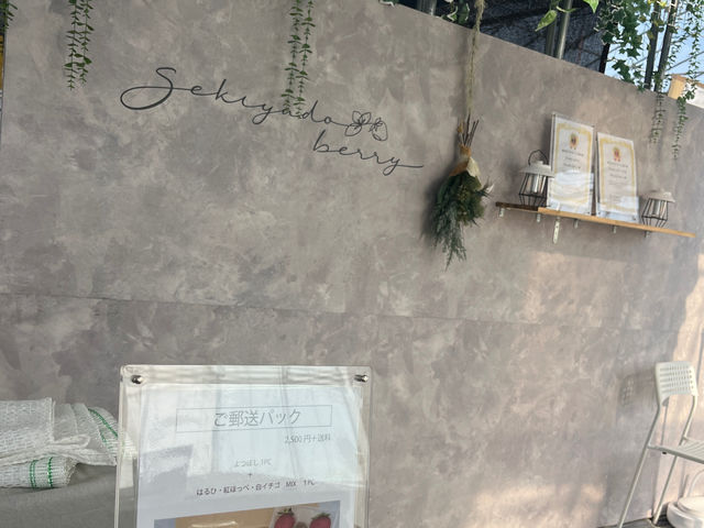 Sekiyado Berry