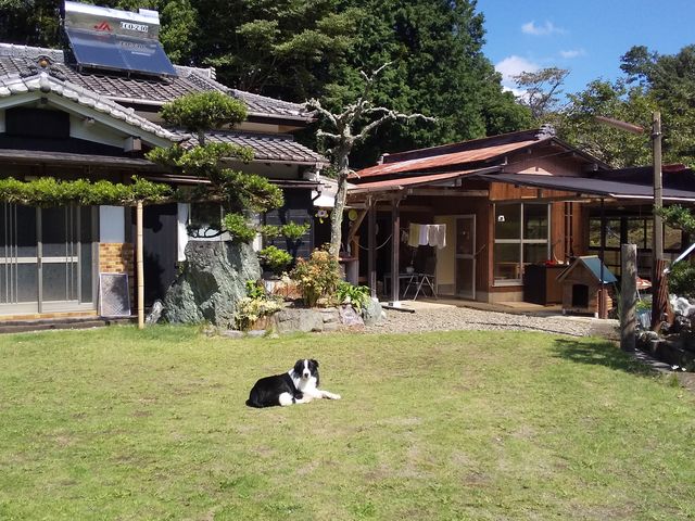 庭は南向きで広々としています。_チビッコ ワンコリゾート sarari