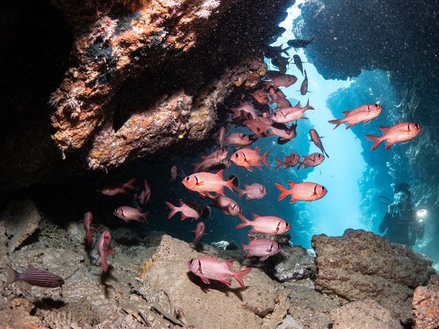 瀬底島の青の洞窟は初心者から上級者まで楽しめる人気スポット_フィールダイブもとぶ店