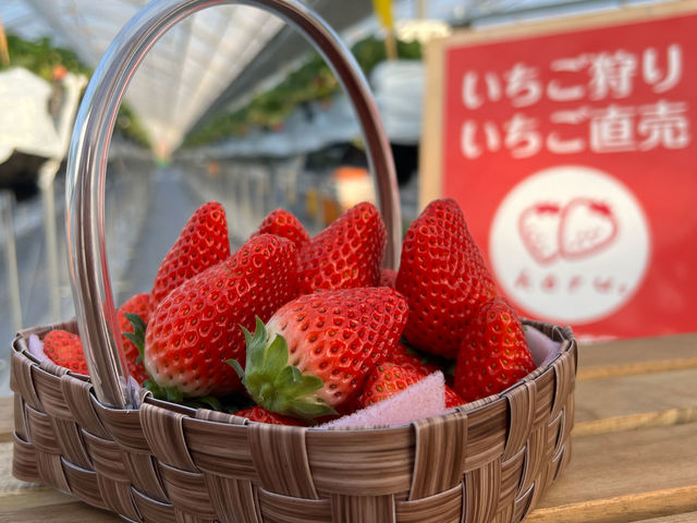 淡路島にあるいちご農園です。高速バス乗り場からも徒歩圏内。神戸から高速バス1時間ほどです。_淡路島いちご農園 はる苺