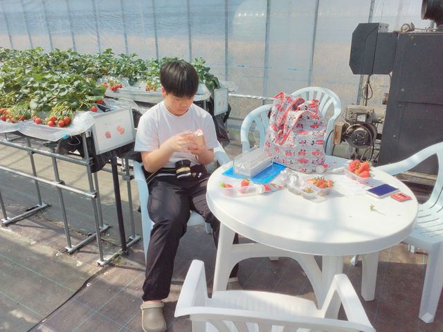 アイス、いちごソースといちごトッピング_ら・ぷら〜す