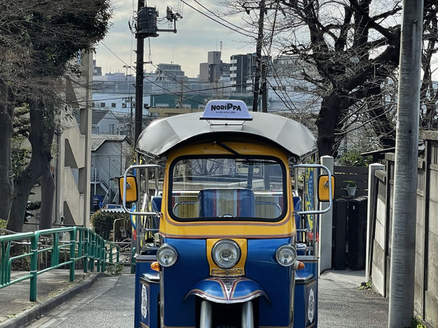 普通免許オートマで乗れます。免許取得3年未満はお断りしております。_トゥクトゥクレンタカーNORIPPA(ノリッパ)