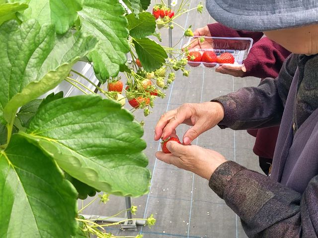 あそら農園