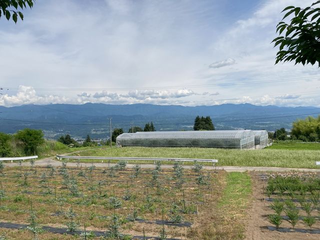 野の花ファーム