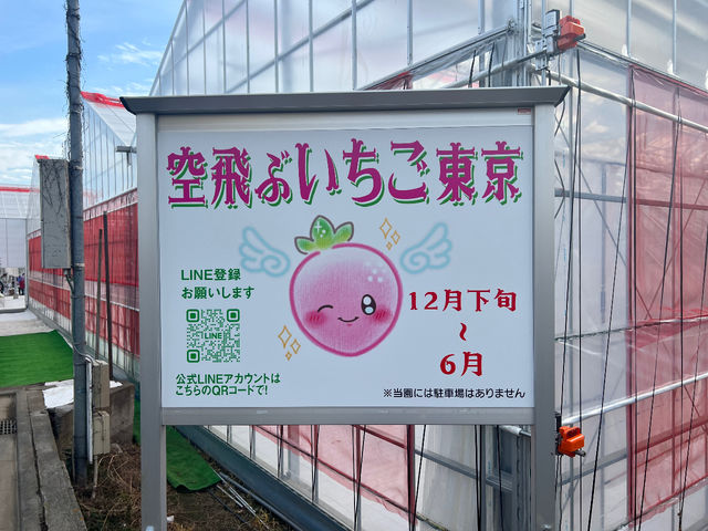 空飛ぶいちご東京