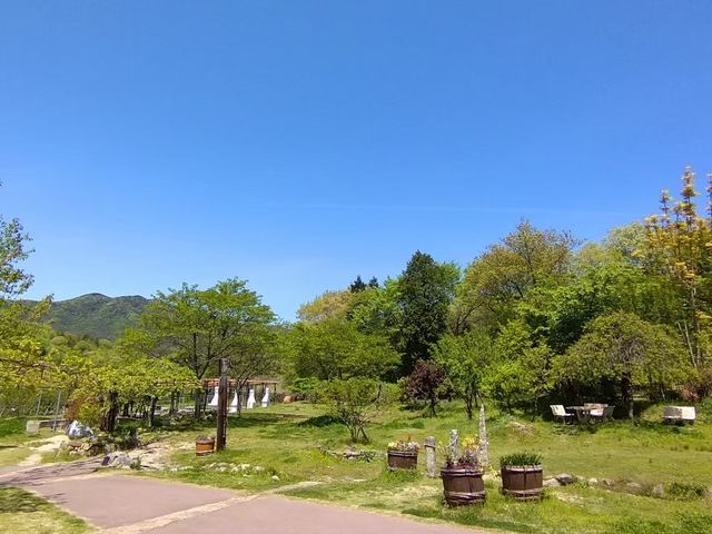 自然豊かなプレイパーク_トモ・ビオパーク